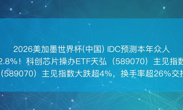 2026美加墨世界杯(中国) IDC预测本年众人半导体收入同比大增52.8%！科创芯片操办ETF天弘（589070）主见指数大跌超4%，换手率超26%交投活跃