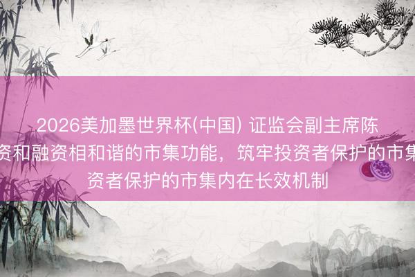 2026美加墨世界杯(中国) 证监会副主席陈华平：健全投资和融资相和谐的市集功能，筑牢投资者保护的市集内在长效机制
