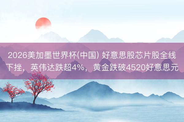 2026美加墨世界杯(中国) 好意思股芯片股全线下挫，英伟达跌超4%，黄金跌破4520好意思元