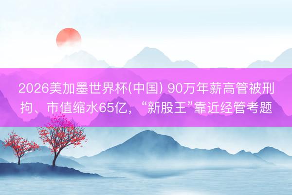 2026美加墨世界杯(中国) 90万年薪高管被刑拘、市值缩水65亿，“新股王”靠近经管考题