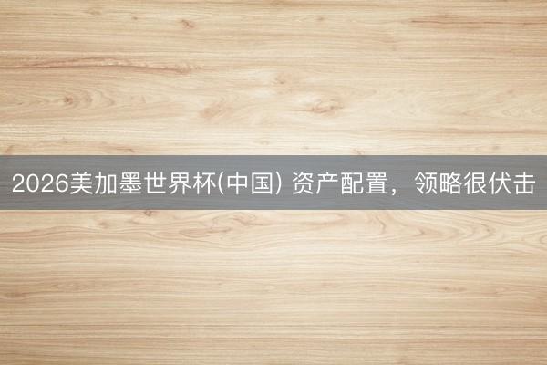 2026美加墨世界杯(中国) 资产配置，领略很伏击