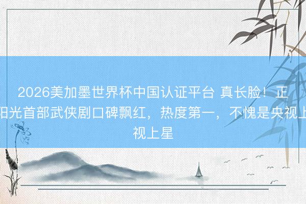 2026美加墨世界杯中国认证平台 真长脸！正午阳光首部武侠剧口碑飘红，热度第一，不愧是央视上星