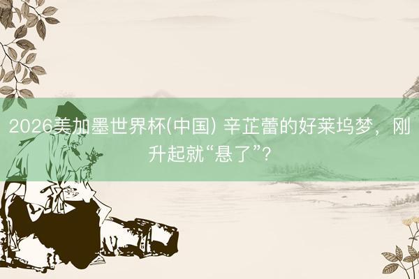 2026美加墨世界杯(中国) 辛芷蕾的好莱坞梦，刚升起就“悬了”？