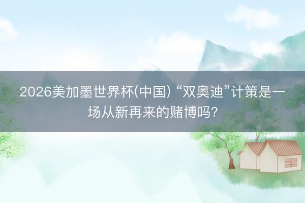 2026美加墨世界杯(中国) “双奥迪”计策是一场从新再来的赌博吗？