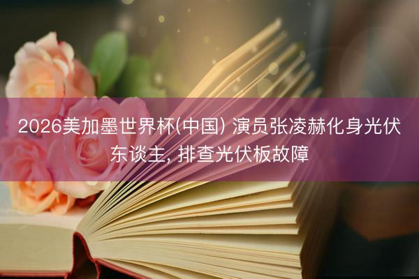 2026美加墨世界杯(中国) 演员张凌赫化身光伏东谈主， 排查光伏板故障
