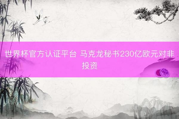 世界杯官方认证平台 马克龙秘书230亿欧元对非投资