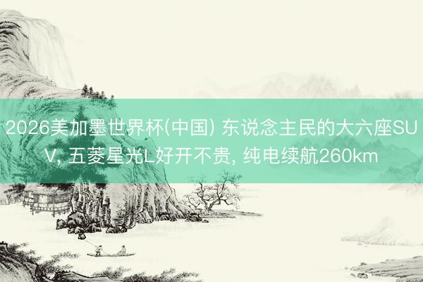2026美加墨世界杯(中国) 东说念主民的大六座SUV， 五菱星光L好开不贵， 纯电续航260km