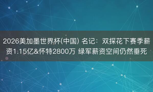 2026美加墨世界杯(中国) 名记：双探花下赛季薪资1.15亿&怀特2800万 绿军薪资空间仍然垂死