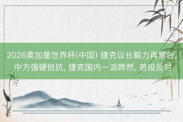 2026美加墨世界杯(中国) 捷克议长毅力再窜台， 中方强硬抵抗， 捷克国内一派哗然， 首级反对