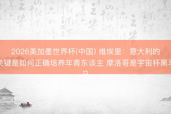 2026美加墨世界杯(中国) 维埃里：意大利的关键是如何正确培养年青东谈主 摩洛哥是宇宙杯黑马