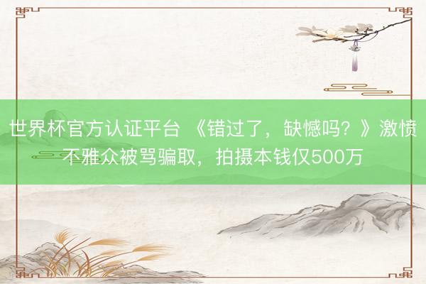 世界杯官方认证平台 《错过了，缺憾吗？》激愤不雅众被骂骗取，拍摄本钱仅500万