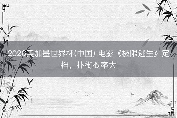 2026美加墨世界杯(中国) 电影《极限逃生》定档，扑街概率大