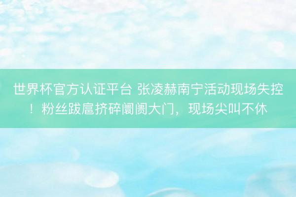 世界杯官方认证平台 张凌赫南宁活动现场失控！粉丝跋扈挤碎阛阓大门，现场尖叫不休