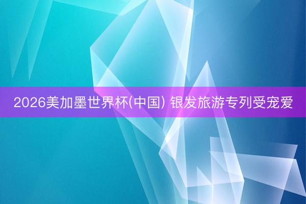 2026美加墨世界杯(中国) 银发旅游专列受宠爱