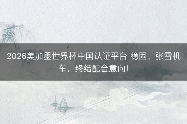 2026美加墨世界杯中国认证平台 稳固、张雪机车,终结配合意向!