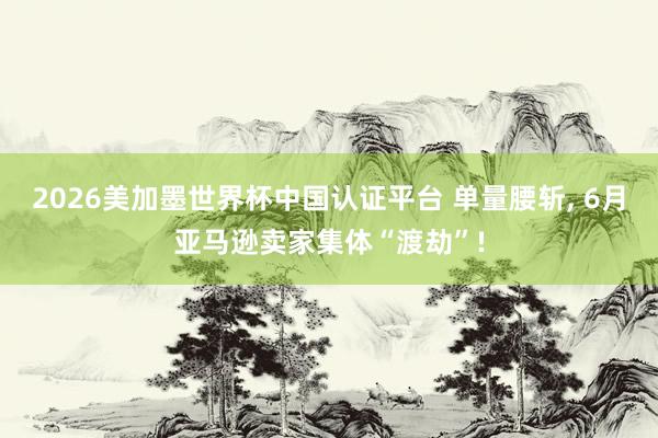 2026美加墨世界杯中国认证平台 单量腰斩， 6月亚马逊卖家集体“渡劫”!